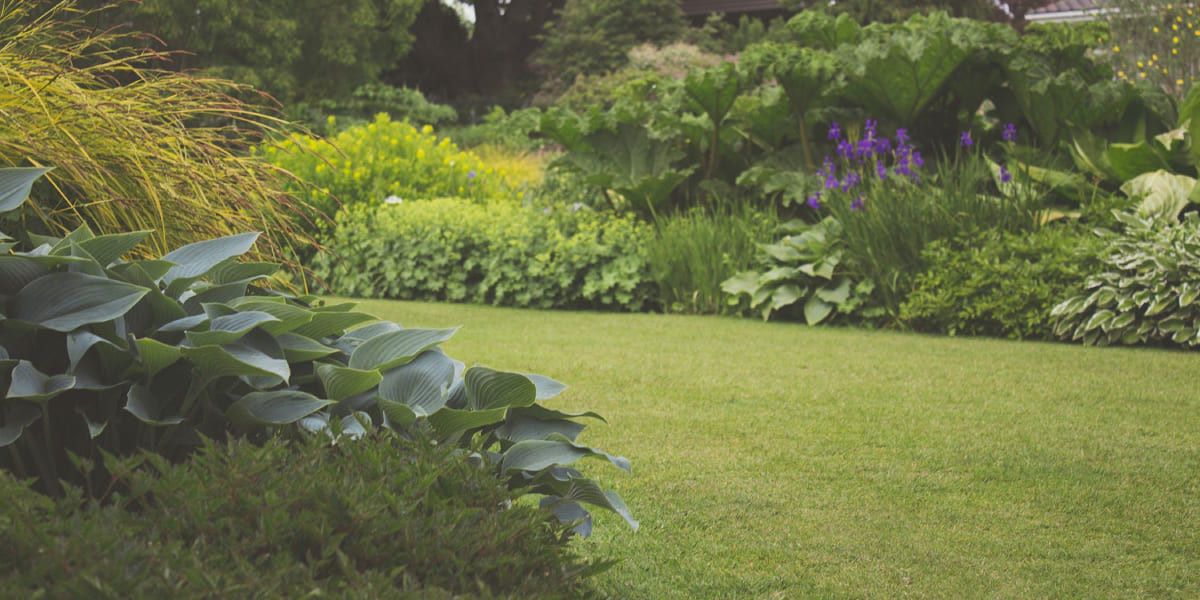 Участок с клумбой